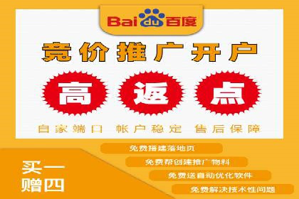 竞价推广公司案例揭秘：如何利用数据分析提升广告效果